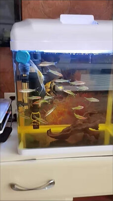 鱼缸刷磁力刷