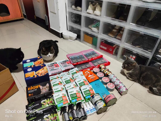 猫罐头