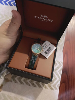 手表|蔻驰14503534手表怎么样？亲身体验告知你实情！