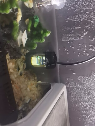 鱼缸温度计