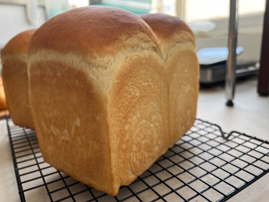 卡士CO750S蒸烤箱|卡士CO750S蒸烤箱怎么样评测分析结果告知！