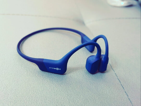 求助大家韶音AS800怎么样?老司机体验反馈