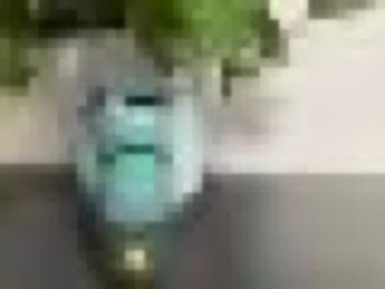 宠物拾便袋