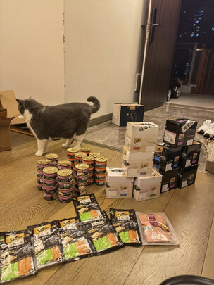 猫罐头
