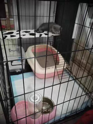  猫笼