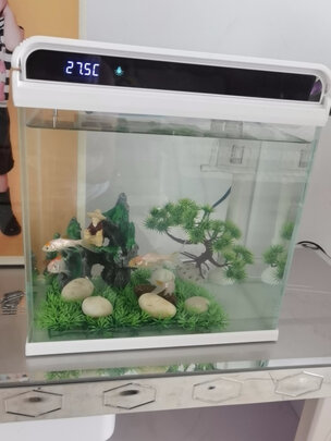 智能鱼缸