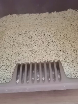 豆腐猫砂