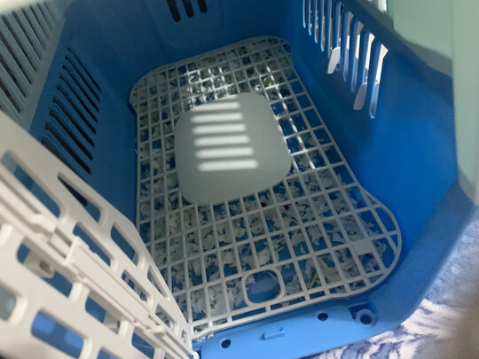 宠物航空箱