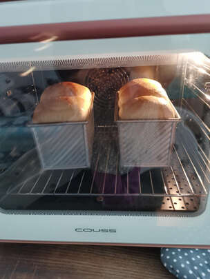 卡士CO750S蒸烤箱|卡士CO750S蒸烤箱怎么样评测分析结果告知！