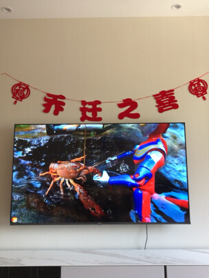 海信（Hisense）65E3F 65英寸 4K超高清智慧语音 超薄悬浮全面屏 智能液晶教育彩电电视机支持投屏 以旧换新