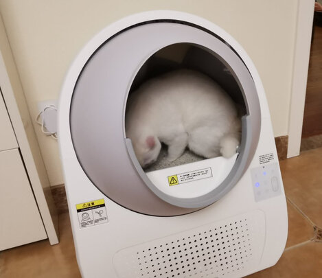 猫砂铲