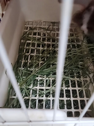 兔粮