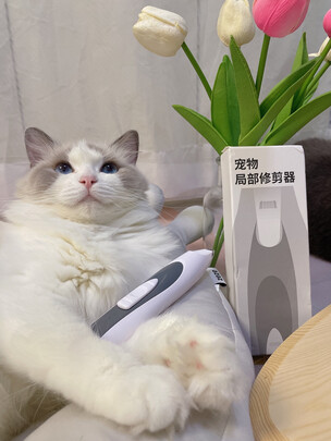 狗狗电推剪