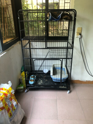  猫笼