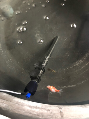 鱼缸加热棒