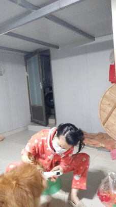  狗狗电推剪
