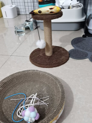 猫爬架