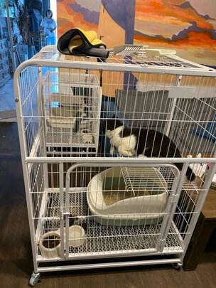  猫笼