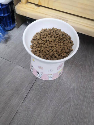 猫碗狗碗