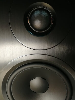 丹拿Xeo 10评判质量差有依据吗？