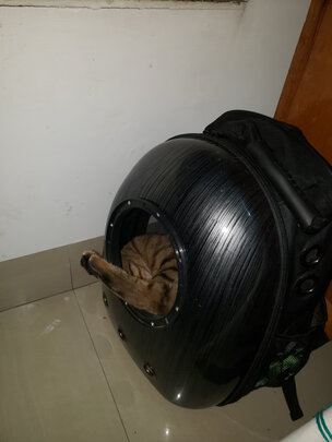 猫包