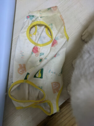 猫咪手术服