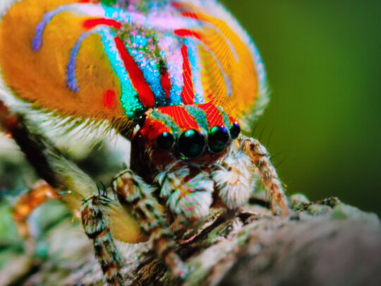 飞利浦278E1一个月后开始后悔了诉说原因