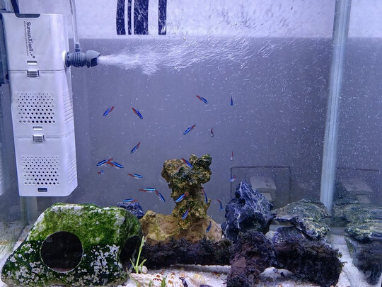 鱼缸过滤器