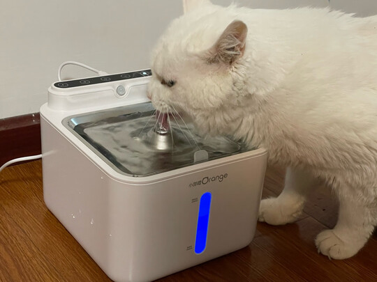 宠物饮水机