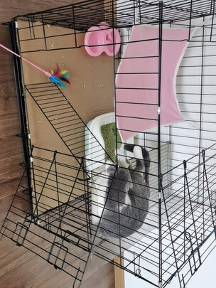 猫笼