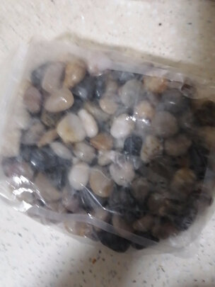 鱼缸鹅卵石