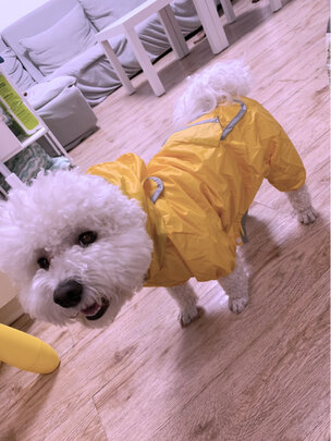 狗狗雨衣