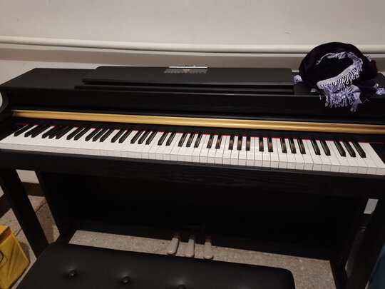 特伦斯ST-8815电钢琴|客观评价特伦斯ST-8815电钢琴怎么样？上手三周说真相