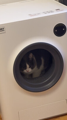 猫砂铲