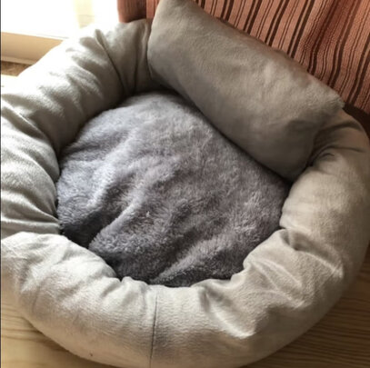 猫窝