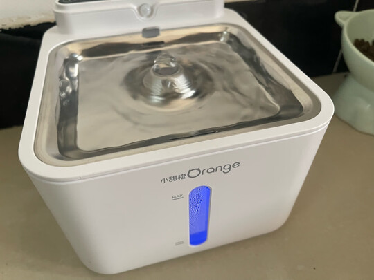 宠物饮水机