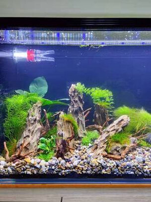 鱼缸造景石头