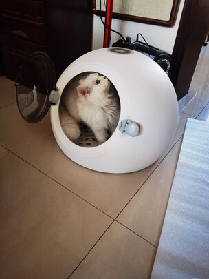  宠物烘干箱