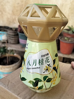 汽车香水