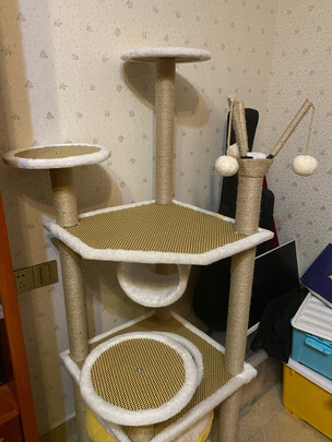 猫爬架