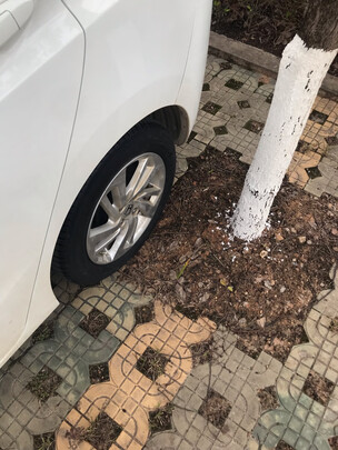汽车轮胎