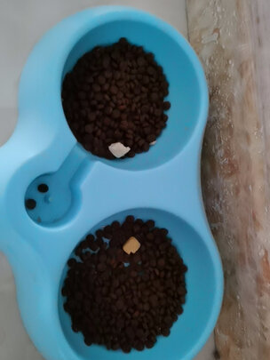 猫粮