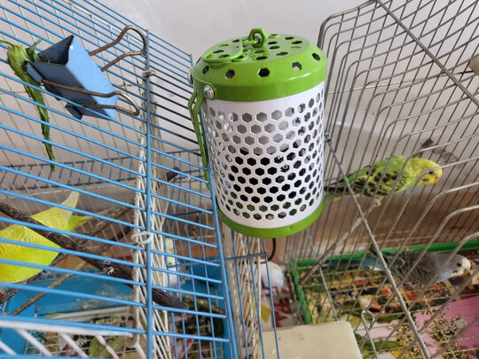 鸟笼