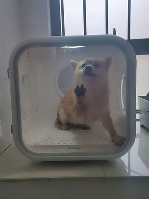  宠物烘干箱