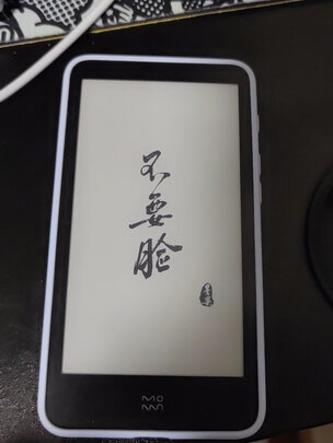 电纸书