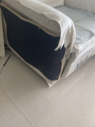猫窝