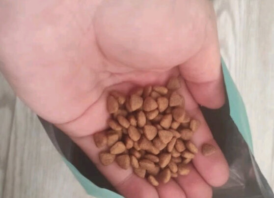 狗粮