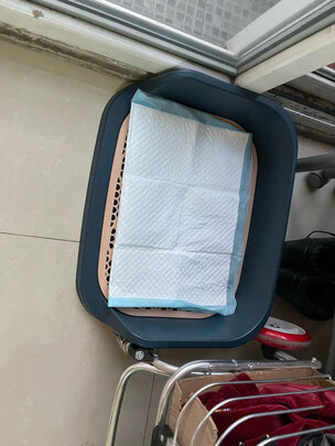 狗厕所