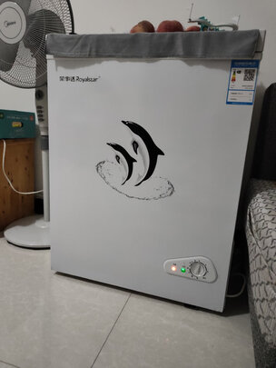 冰柜|看完不迷路：荣事达小冰柜哪款比较好？深入为你讲解