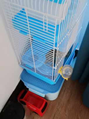 仓鼠跑轮